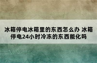 冰箱停电冰箱里的东西怎么办 冰箱停电24小时冷冻的东西能化吗